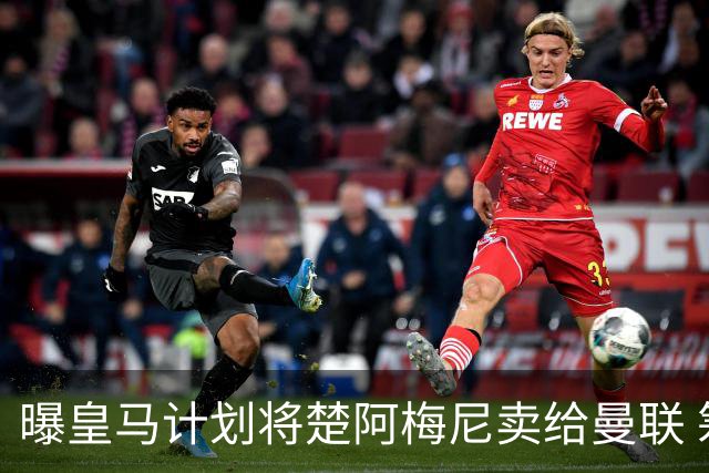 曝皇马计划将楚阿梅尼卖给曼联 筹钱从曼城签罗德里